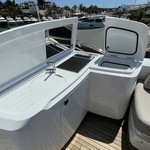 Princess S60