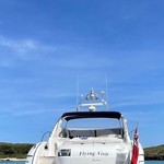 Princess V50